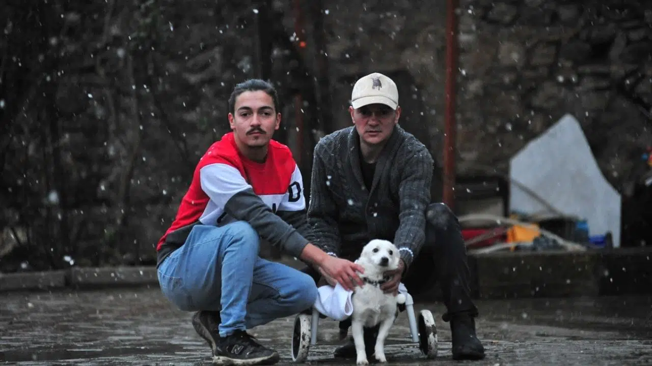 Ormanlık alanda bulduğu felçli köpeğe tesisat borularıyla yürüteç yaptı