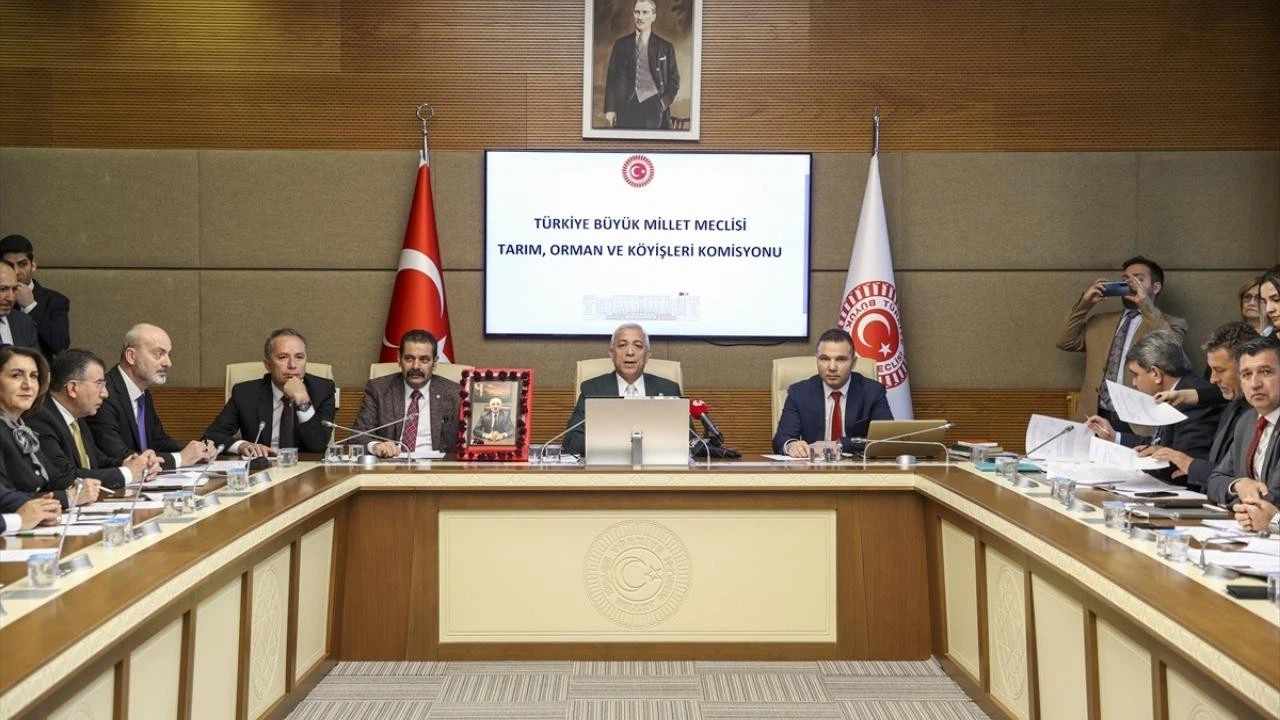 Tarım alanları düzenlemesi, komisyonda!