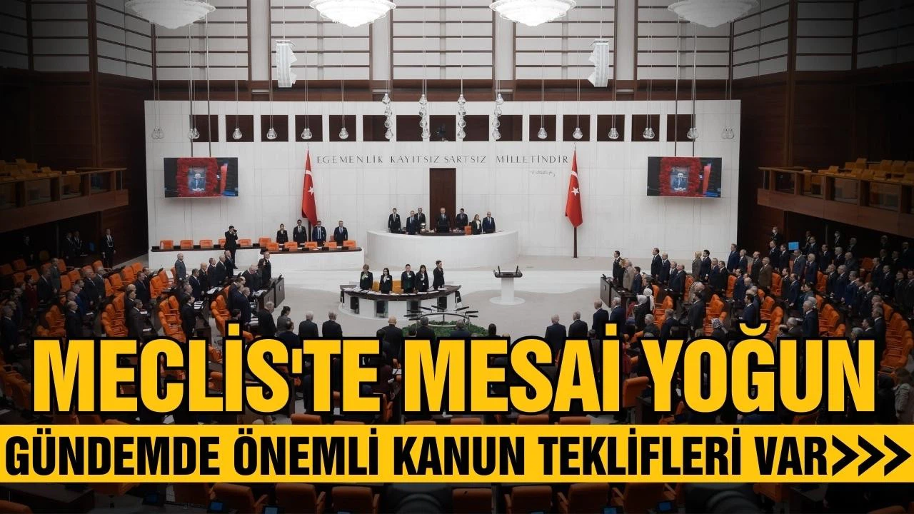 Meclis, mart ayında yoğun mesai yapacak!
