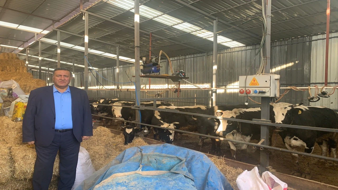 Şap ile süt sıkıntısı daha da artacak