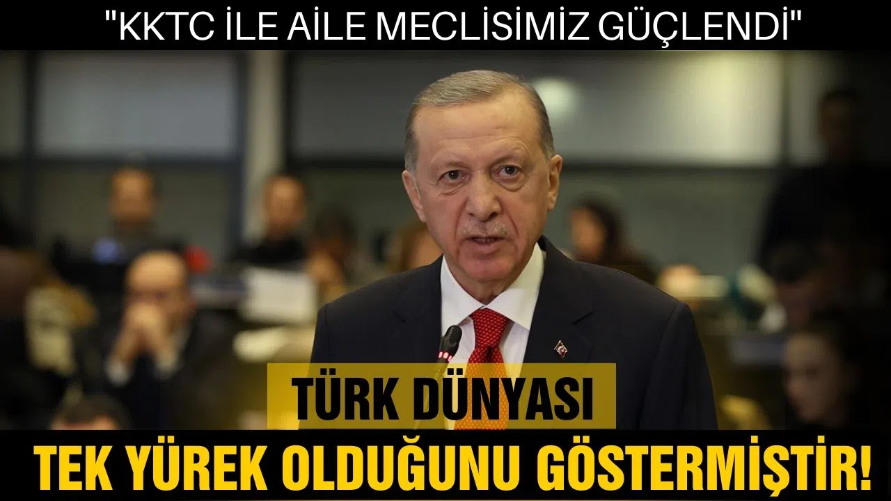 Cumhurbaşkanı Erdoğan: Türk dünyası tek yürek olduğunu göstermiştir!