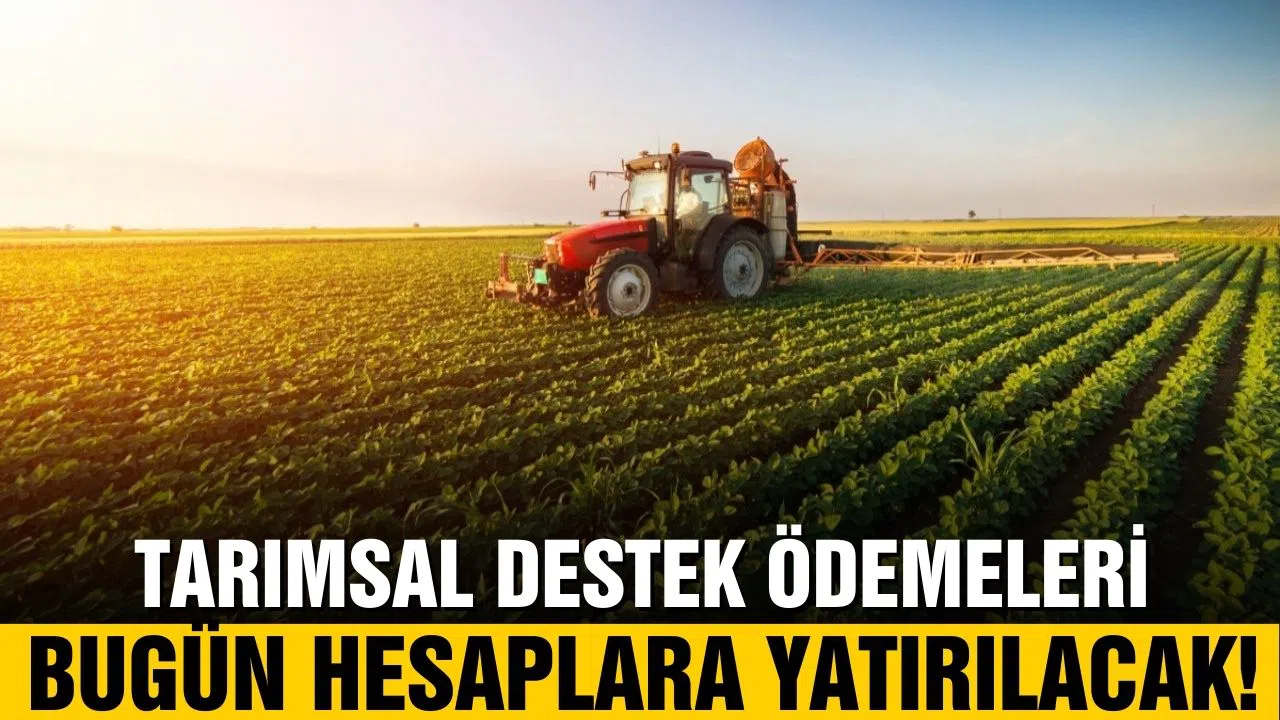 Tarımsal destek ödemeleri bugün hesaba yatırılacak!