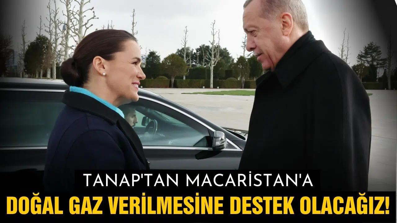 Cumhurbaşkanı Erdoğan, Macaristan Cumhurbaşkanı Novak'ı ağırladı