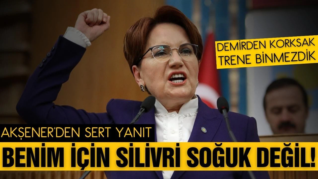 Akşener'den Erdoğan'a sert yanıt!