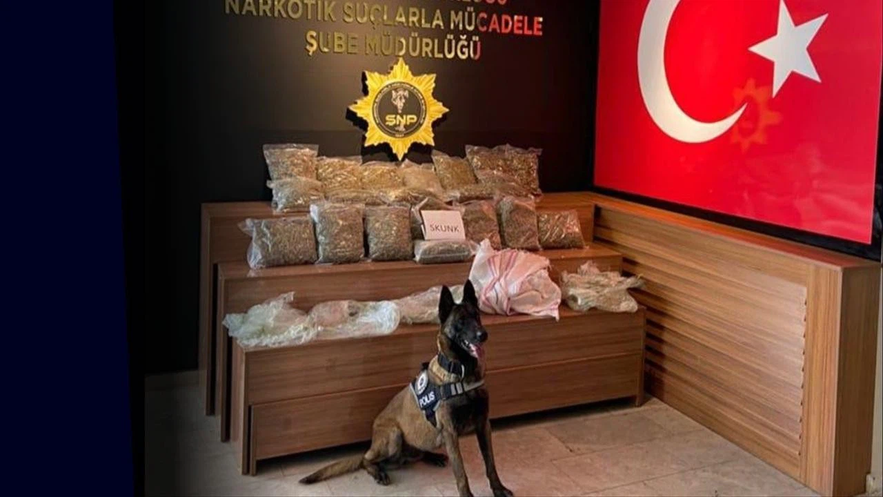 Şanlıurfa'da uyuşturucu operasyonu! 15 kilo 800 gram uyuşturucu ele geçirildi