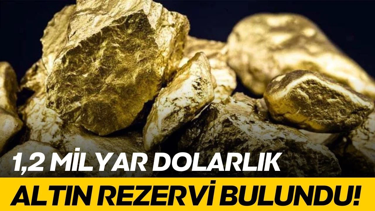 Milyar dolarlık altın rezervi bulundu!