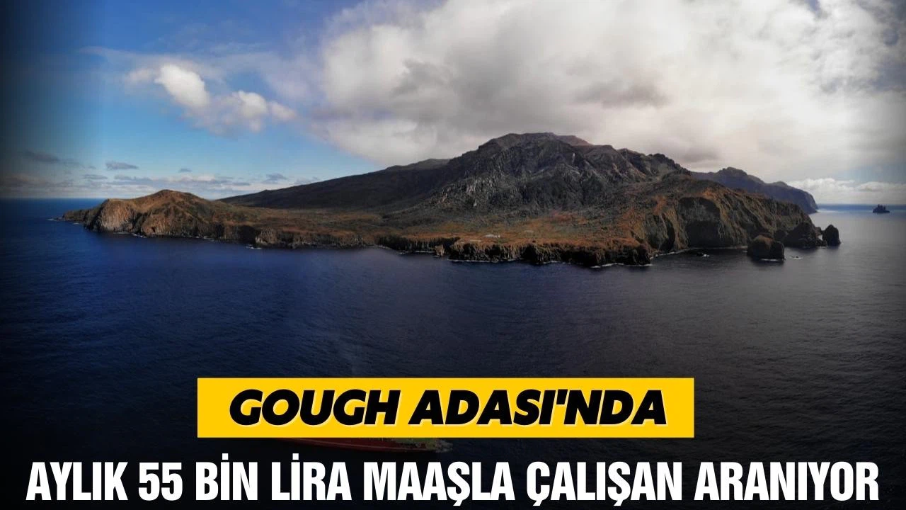 Gough Adası’nda aylık 55 bin liraya çalışan aranıyor