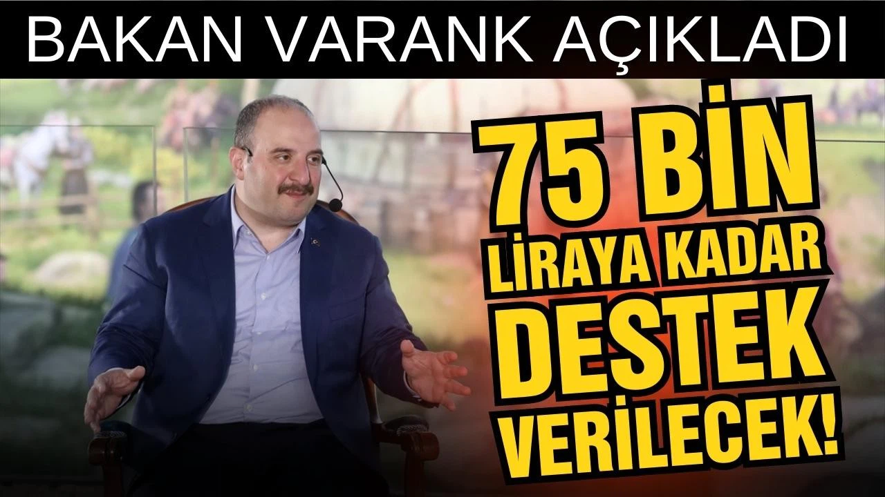 Bakan Varank: "75 bin liraya kadar destek verilecek"