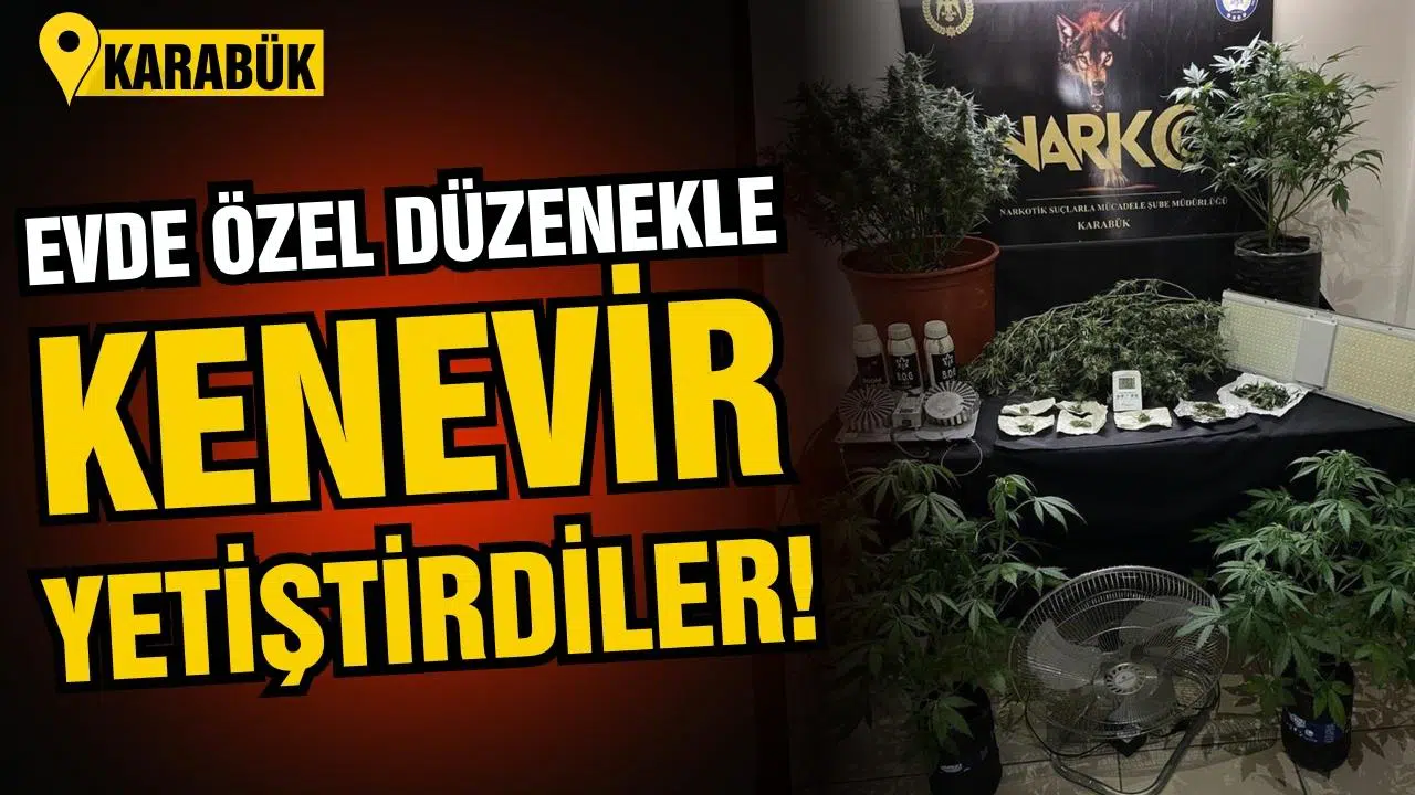  Evde özel düzenekle kenevir yetiştirdiler!
