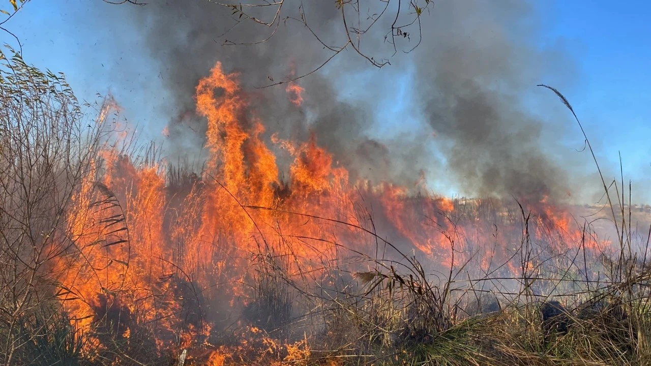 Sazlık alanı yaktı, 244 bin lira ceza kesildi!