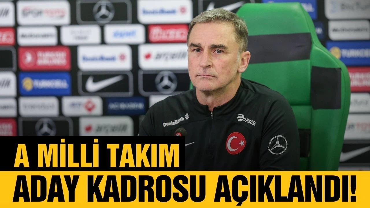 A Milli Takım'ın aday kadrosu açıklandı!