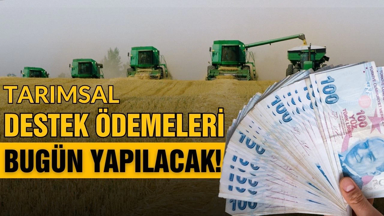 Tarım destek ödemeleri bugün yapılacak!