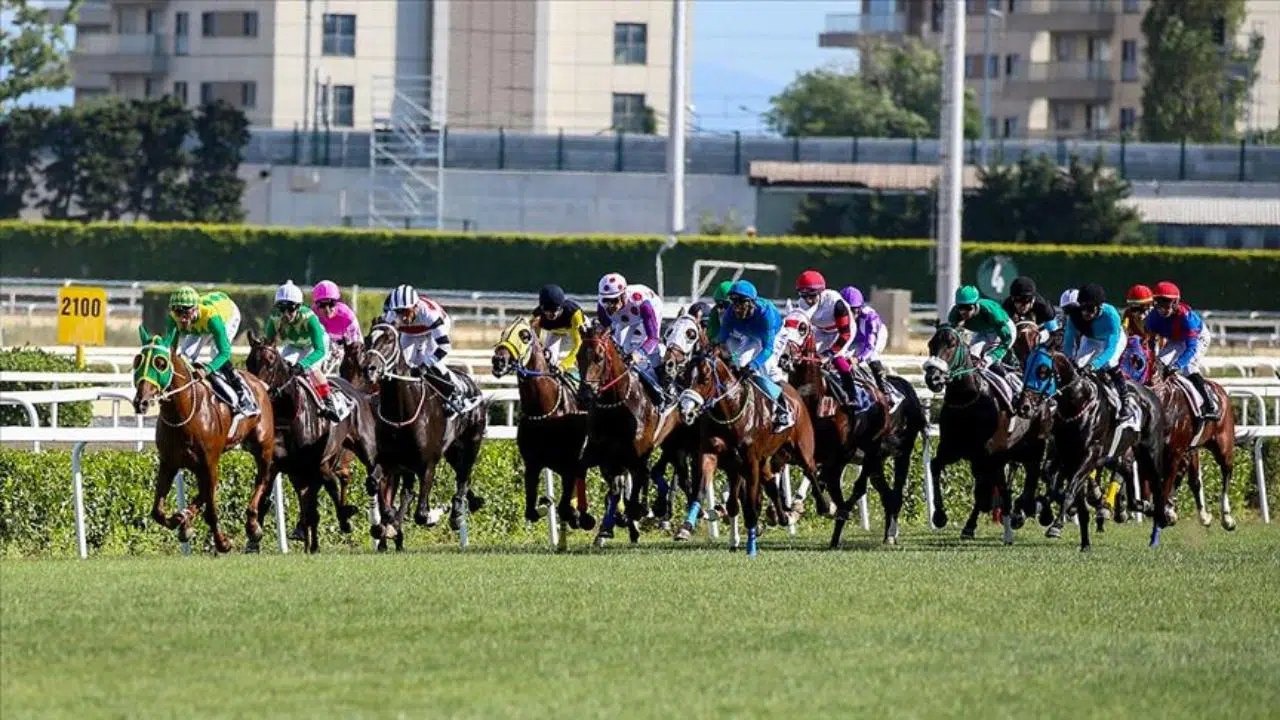 97. Gazi Koşusu'na kayıt yaptıran safkanlar belli oldu!