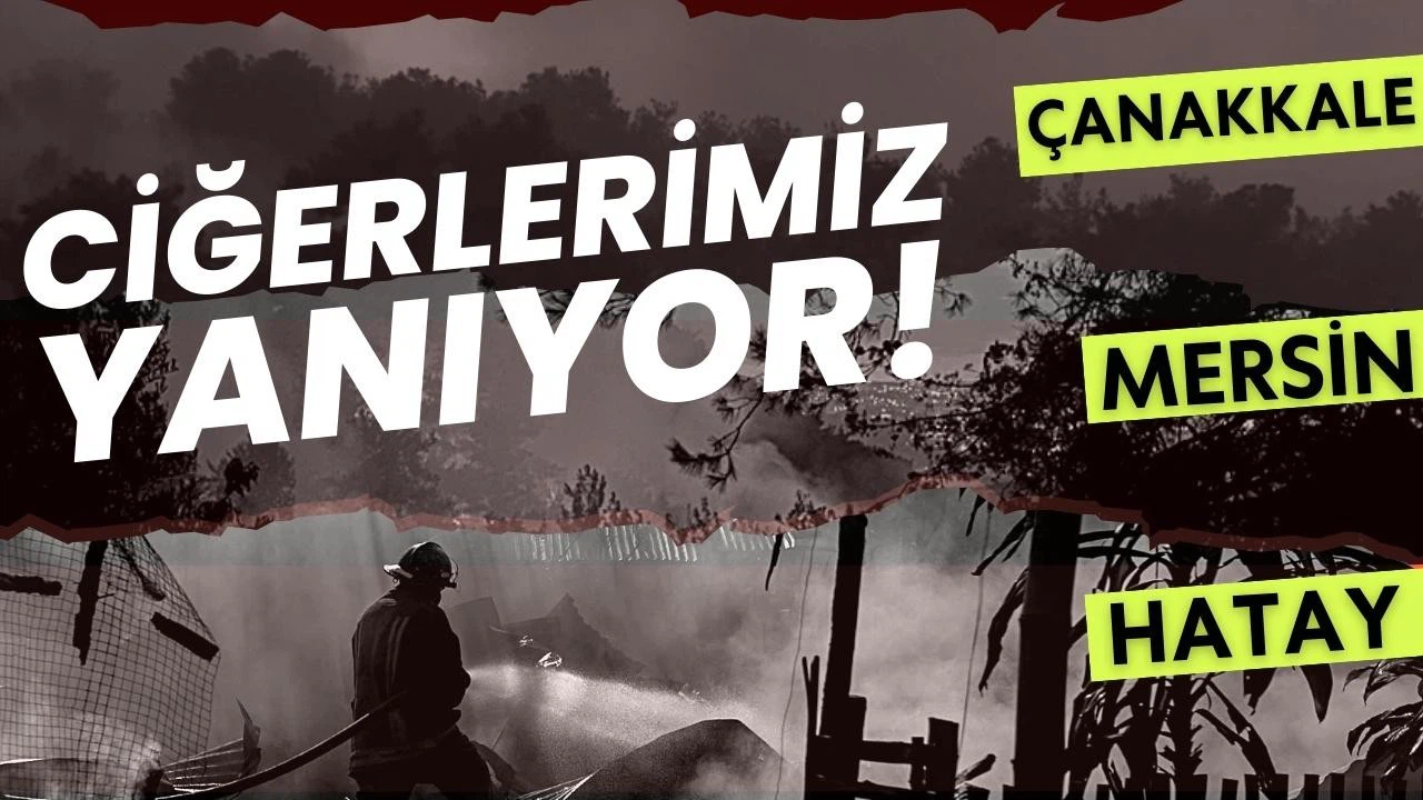 Türkiye alev alev! Ciğerlerimiz yanıyor!