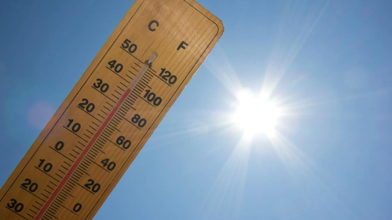 Güney Kore'de aşırı sıcaklar nedeniyle 23 kişi öldü!