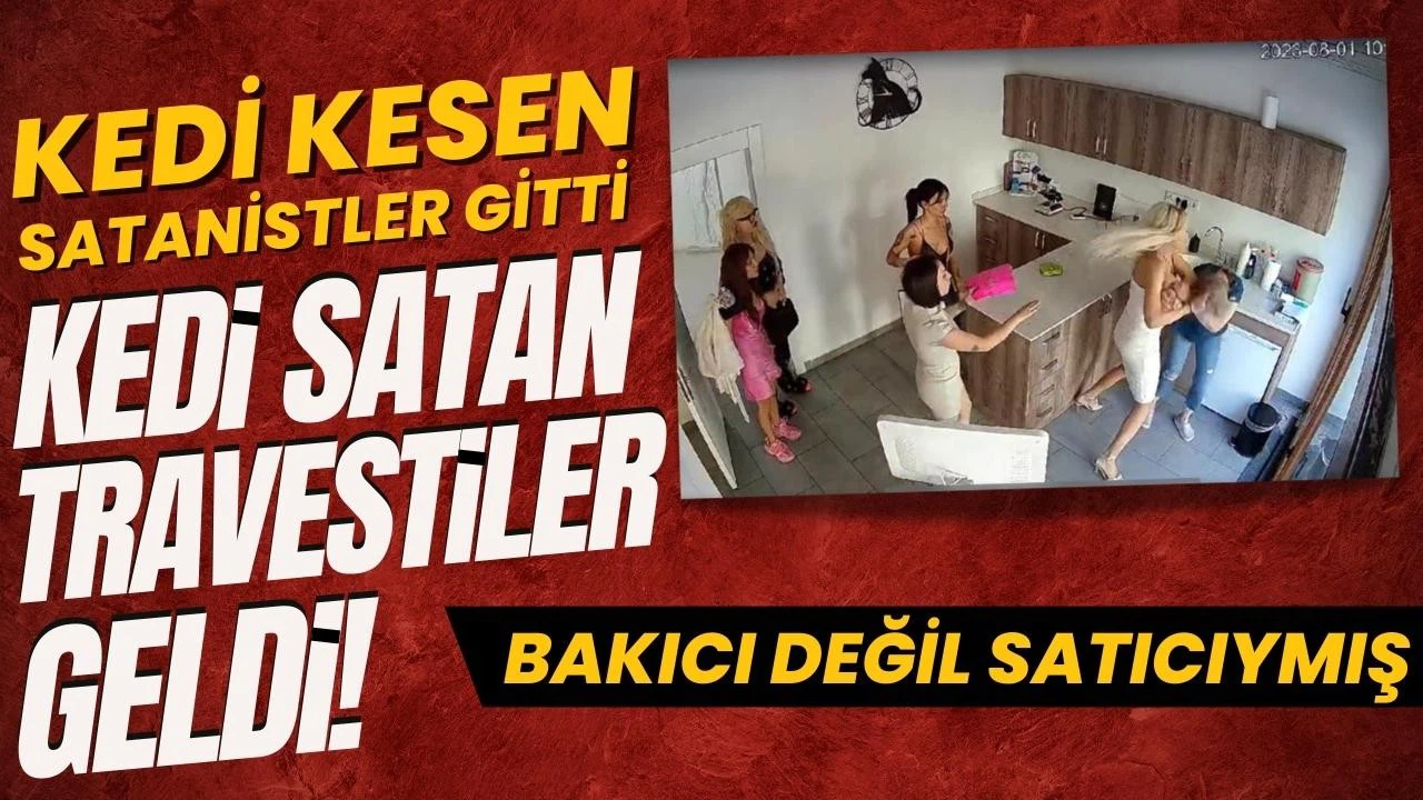 Veteriner basan travestiler hakkında şok iddia!