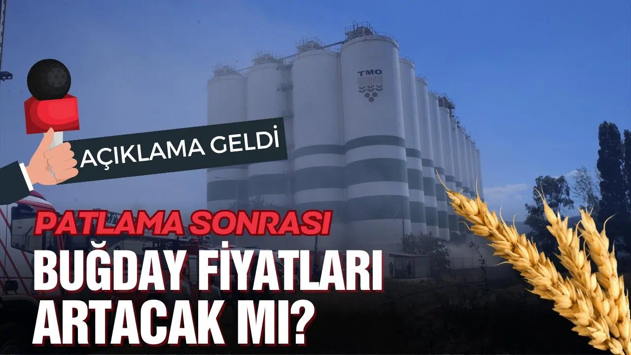 Patlama sonrası buğday fiyatları artacak mı?