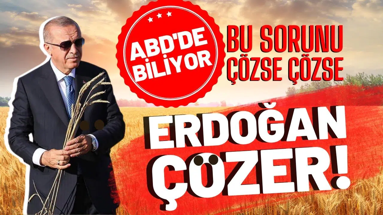 ABD'de biliyor: Bu sorunu çözse çözse Erdoğan çözer!