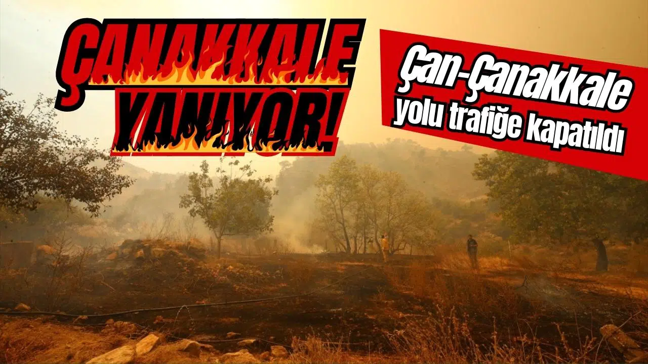 Çanakkale'de orman yangını!