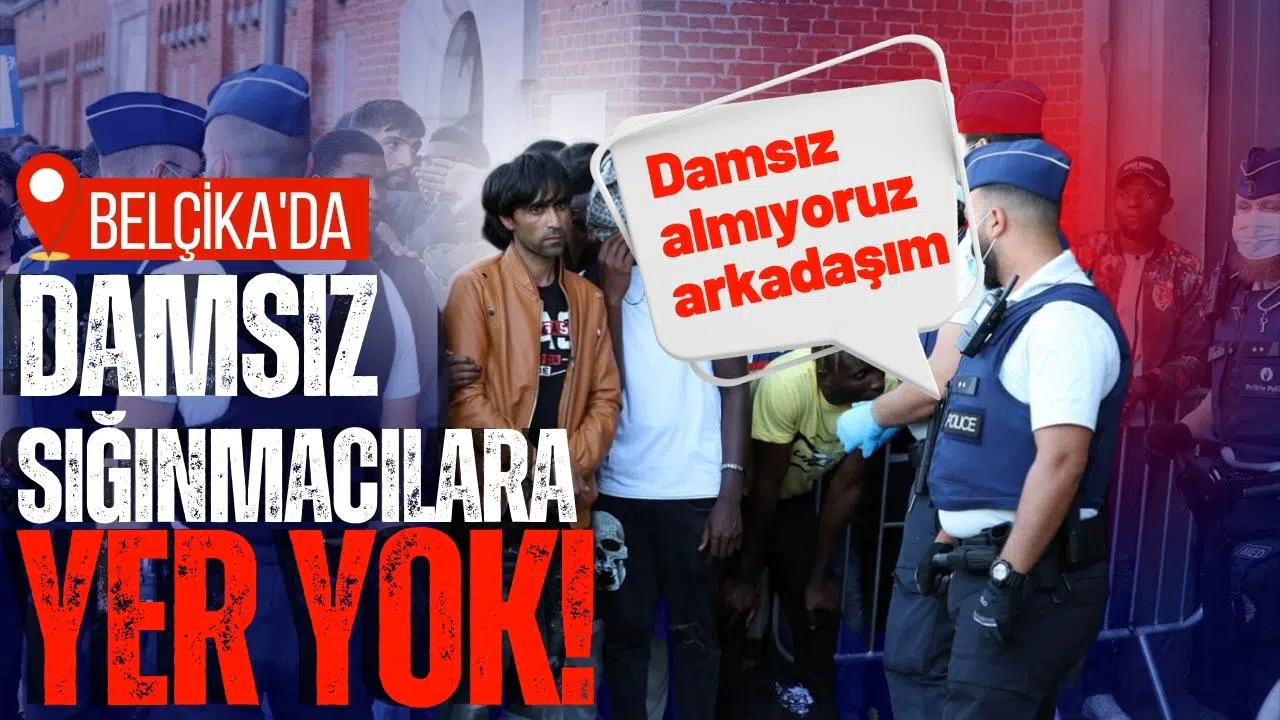 Belçika'da damsız sığınmacılara yer yok!