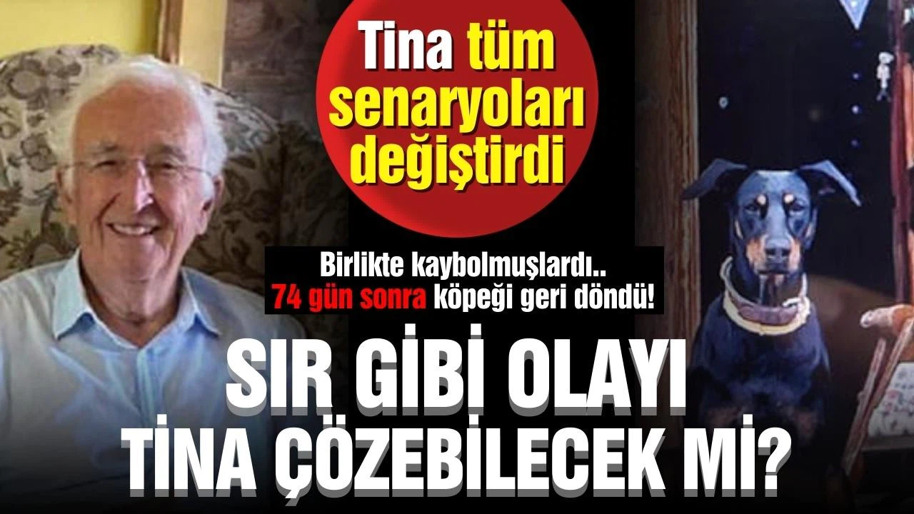 Kayıp profesör düğümünü Tina çözecek