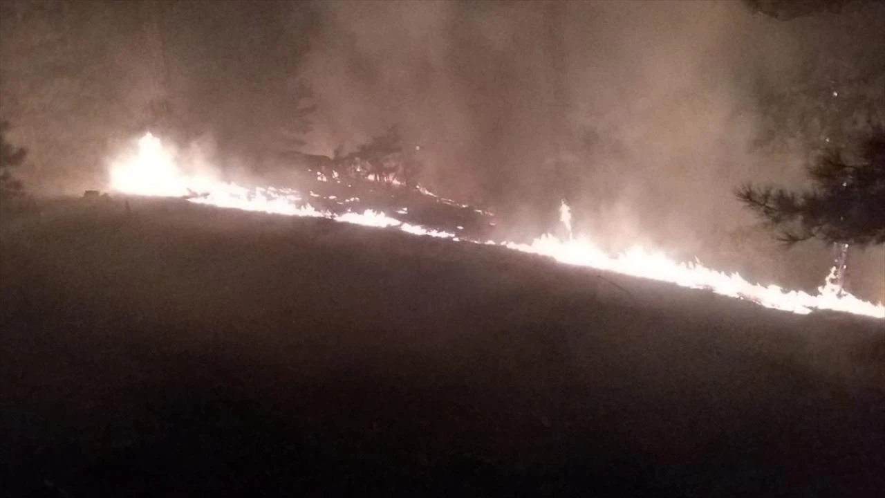 Muğla Köyceğiz'de orman yangını!