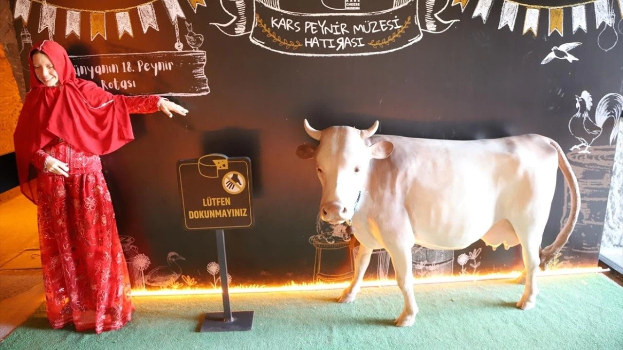 Kars’taki peynir müzesi yoğun ilgi görüyor!