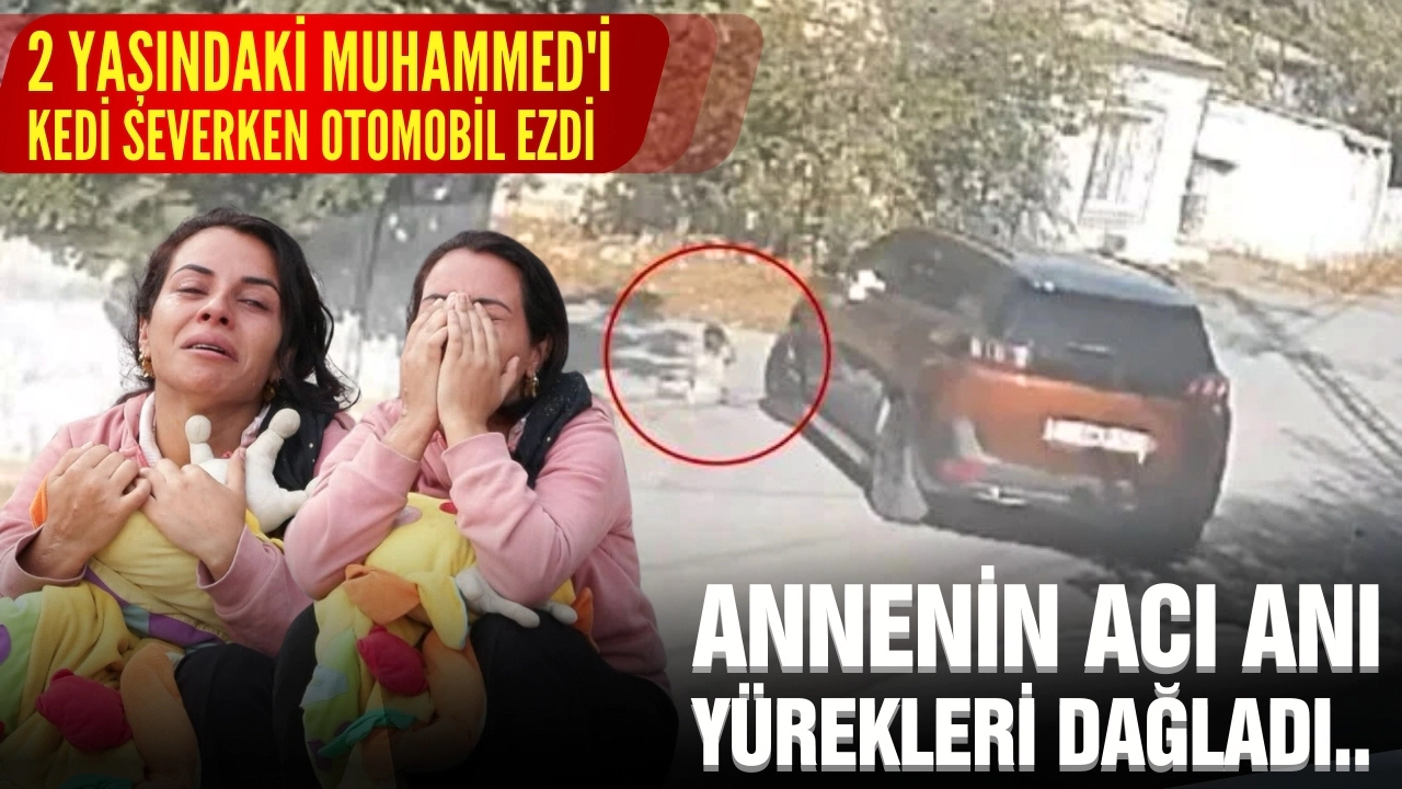 2 yaşındaki Muhammed'i kedi severken otomobil ezdi!
