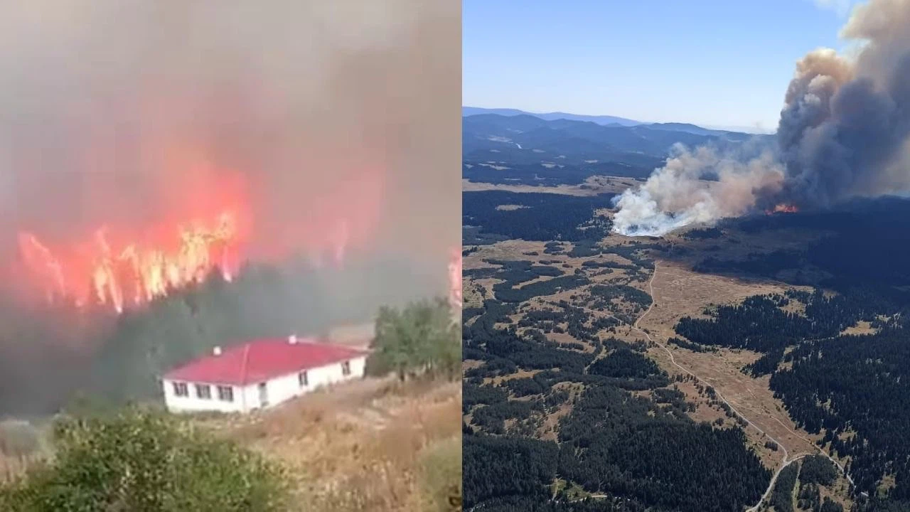 Bolu'da orman yangını!