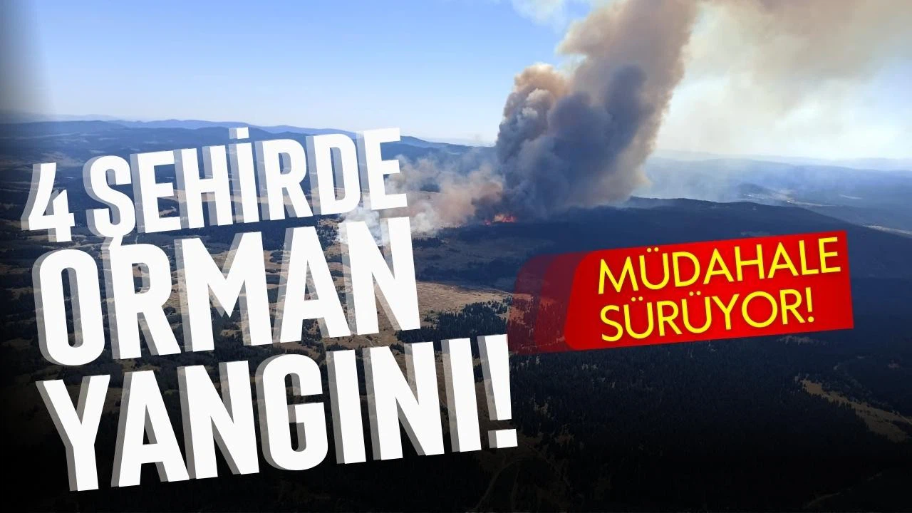 4 şehirde orman yangını