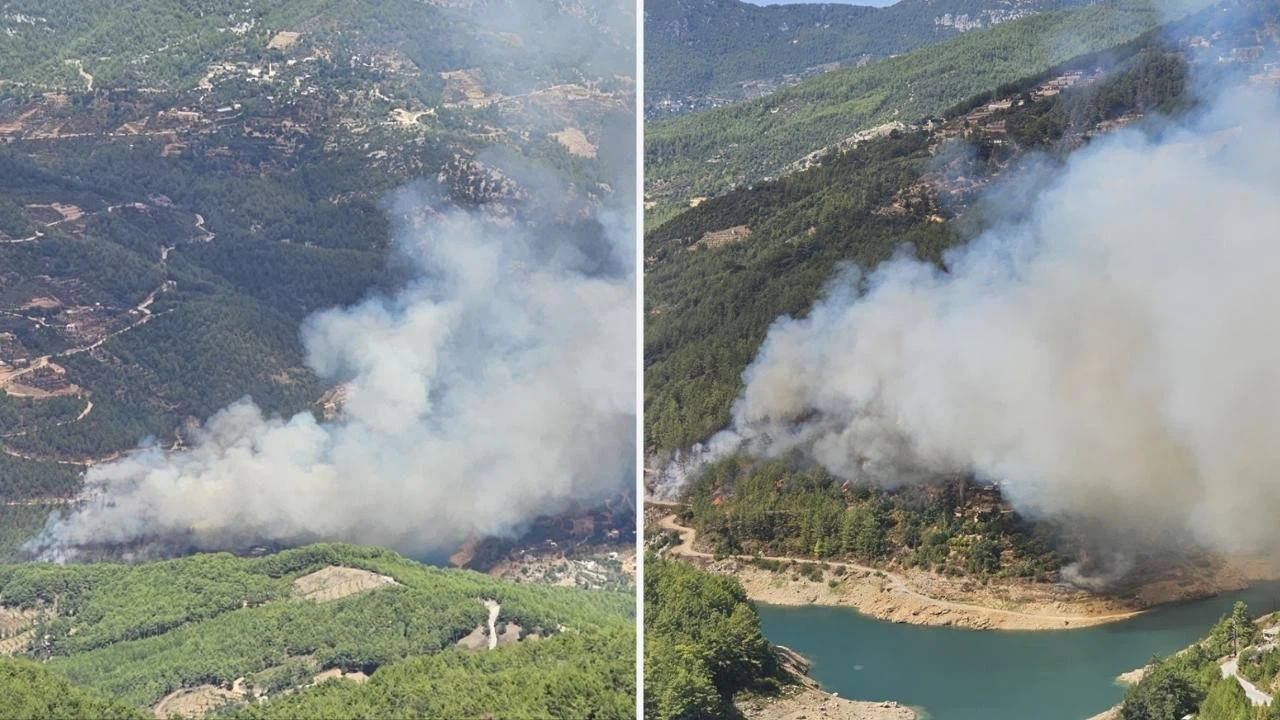 Alanya'da da orman yangını başladı!