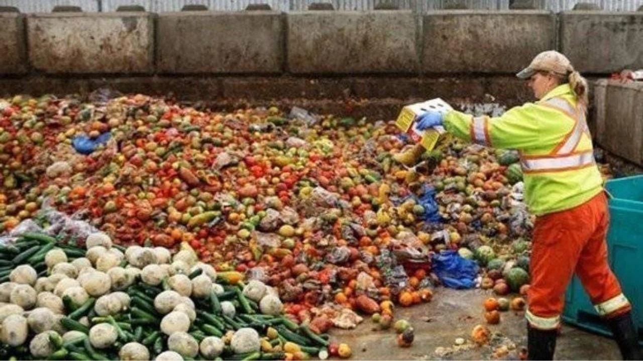 Avrupa'da adam başı 131 kilo gıda israf etti!