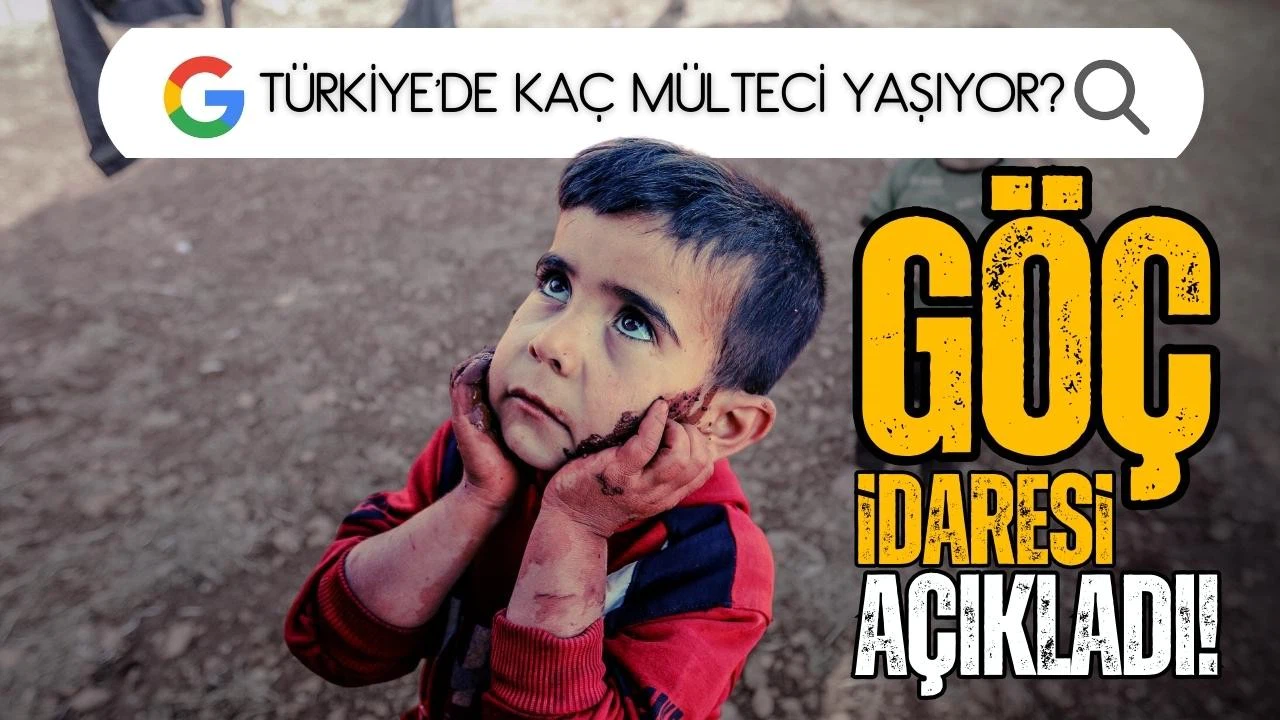 Türkiye'deki yabancı sayısı açıklandı!