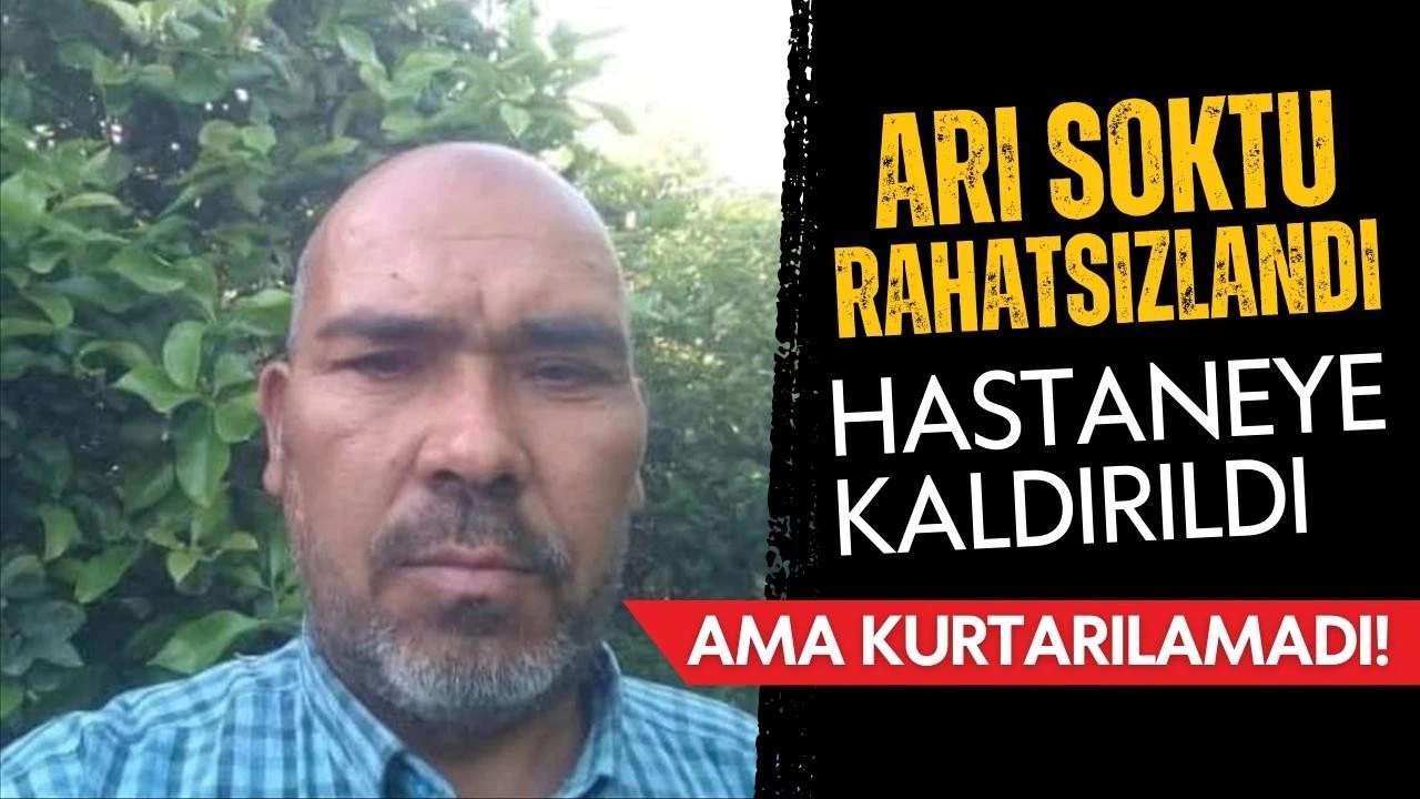 Mersin'de arının soktuğu çiftçi hayatını kaybetti