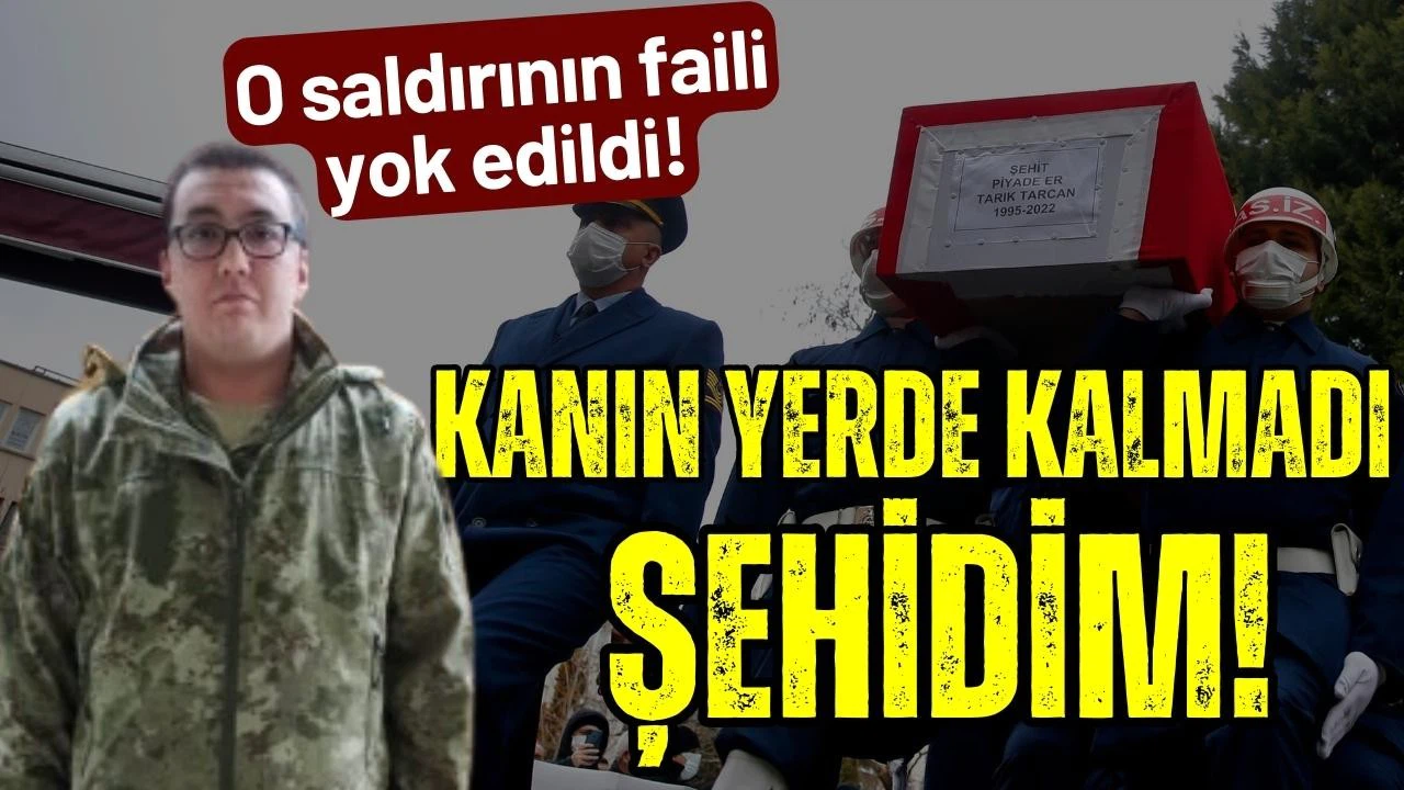 Şehit Tarık Tarcan'ın katili terörist Muhammed Azo yok edildi!