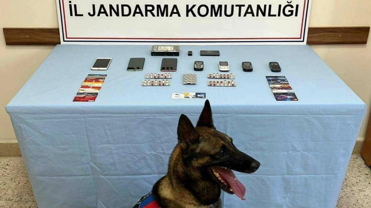 Eskort siteleri üzerinden, milyonluk vurgun!