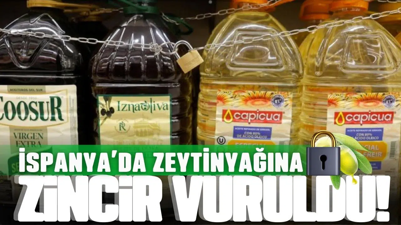 İspanya'da üretim azaldı: Zeytinyağı zincire vuruldu!