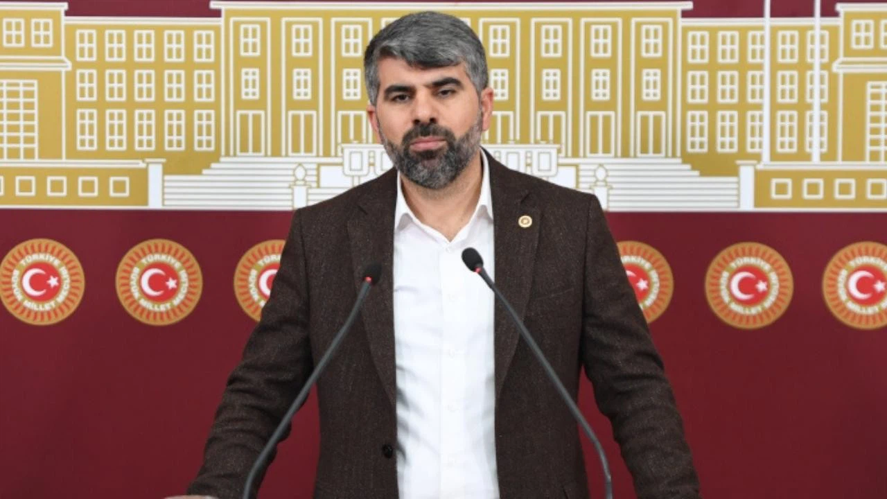 Dinç, sahipsiz köpekler için çözüm istedi