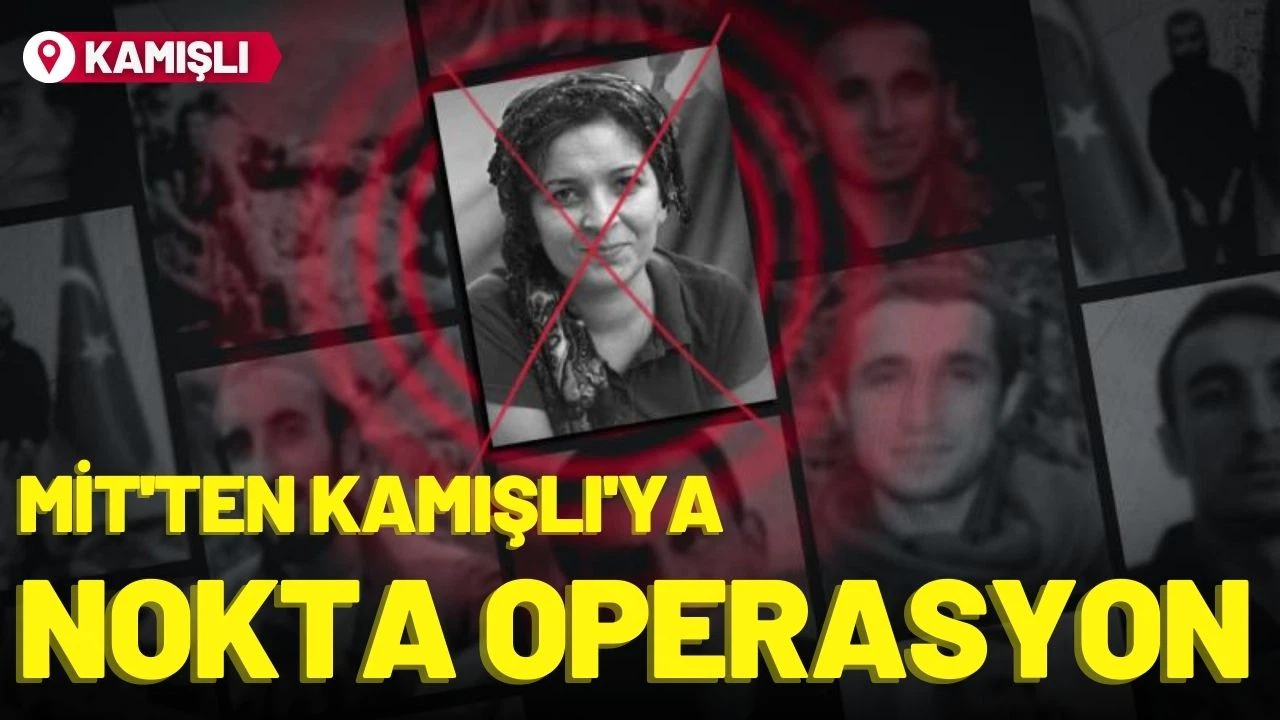 MİT'ten Kamışlı'ya nokta operasyon