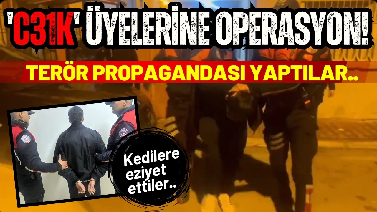 Kedilere eziyet eden ve terör örgütü propagandası yapan 5 kişi tutuklandı