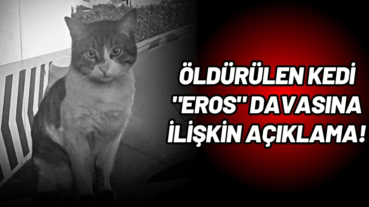 Adalet Bakanı Tunç'tan kedi "Eros" davasına ilişkin açıklama!