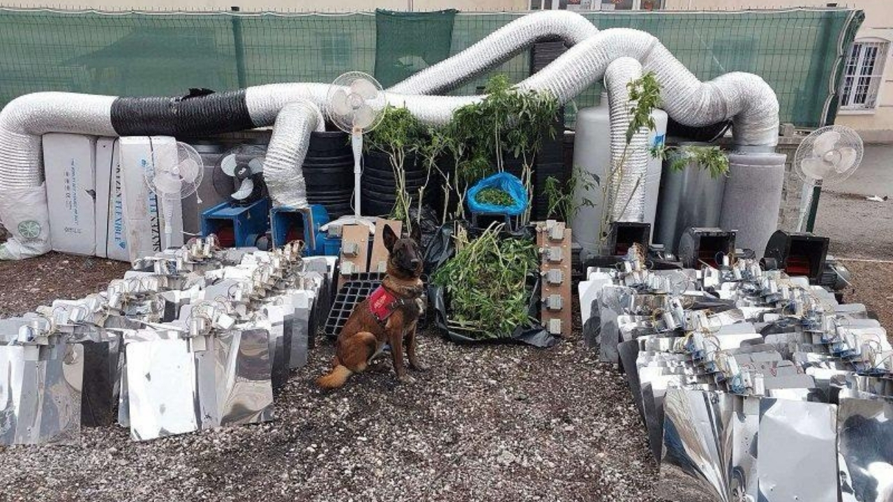 Etimesgut'ta 10 kilo esrar ele geçirildi!