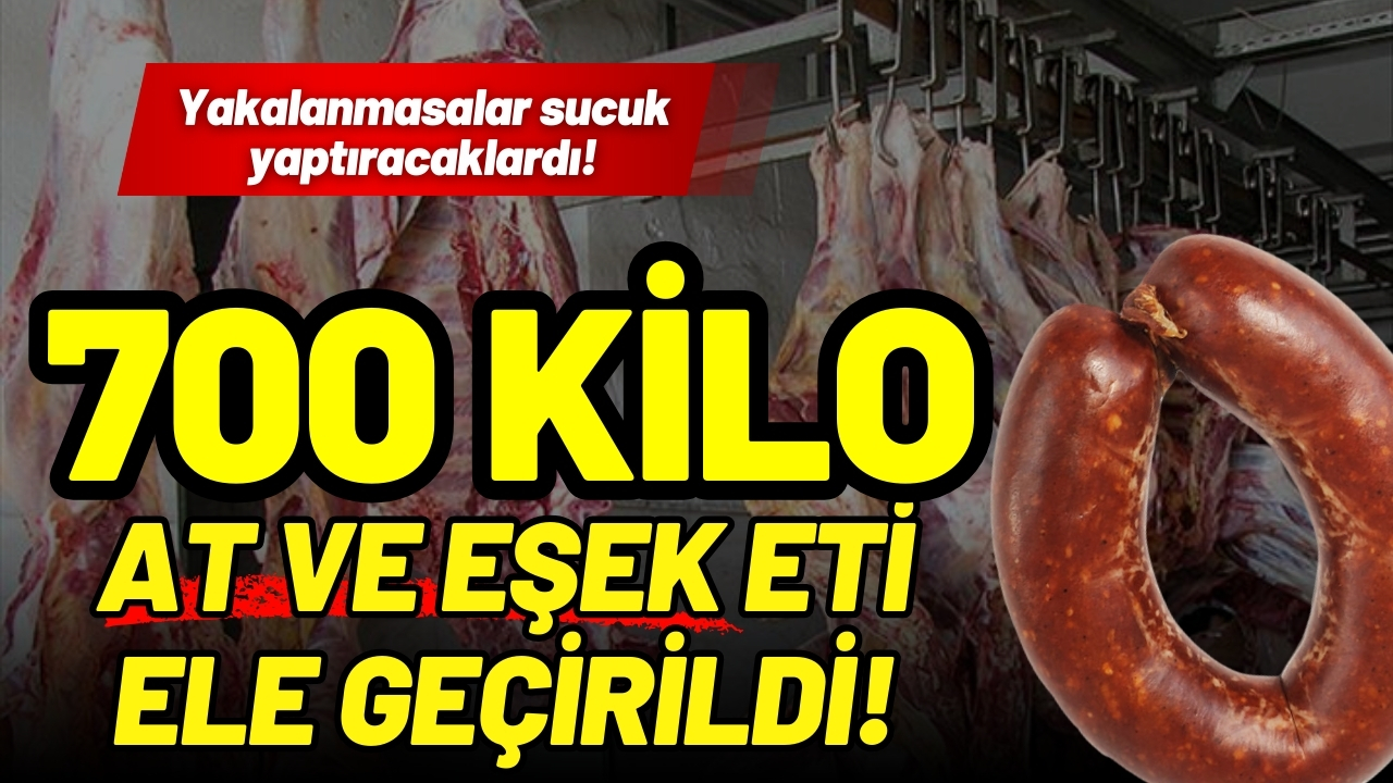 700 kilo at ve eşek eti ele geçirildi: Sucuk yapacaklardı!