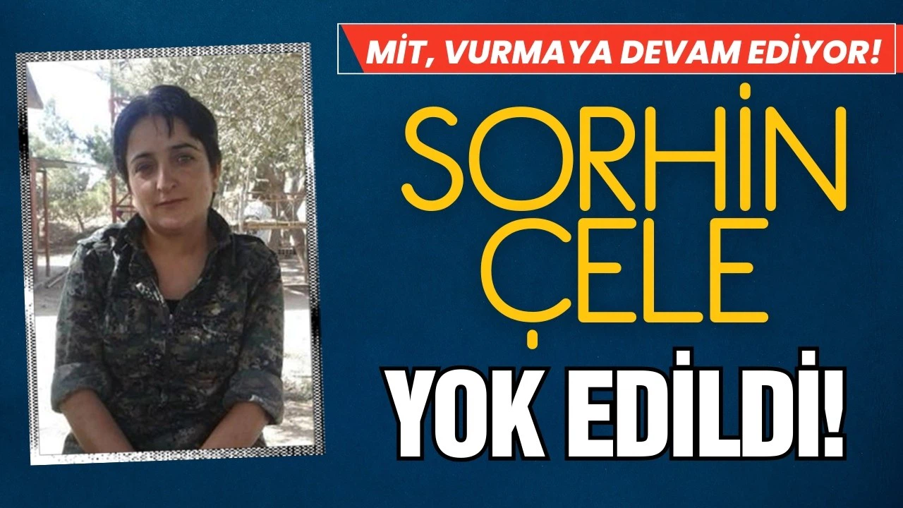 MİT'ten nokta operasyon: Biri daha yok edildi