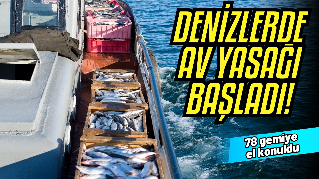 Denizlerde av yasağı başladı