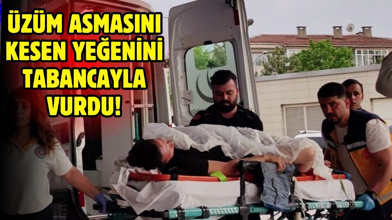 Üzüm asmasını kesen yeğenini tabancayla vurdu!
