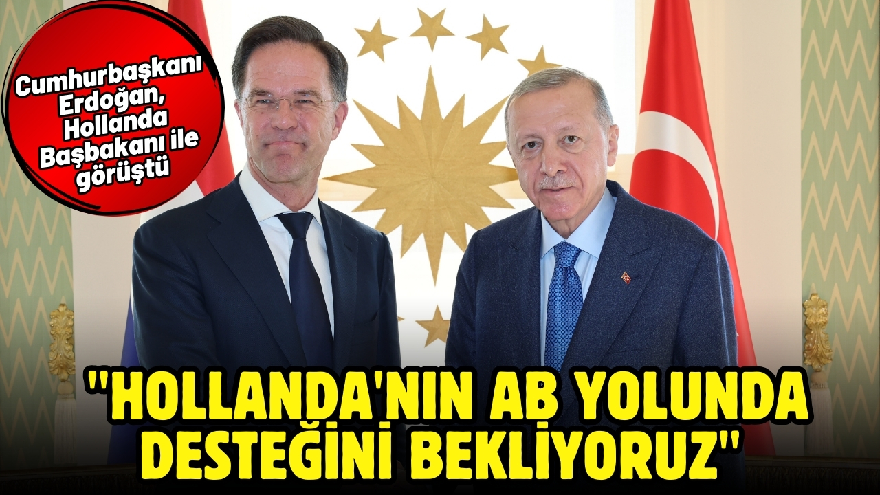 Cumhurbaşkanı Erdoğan: "Hollanda'nın AB yolunda desteğini bekliyoruz"