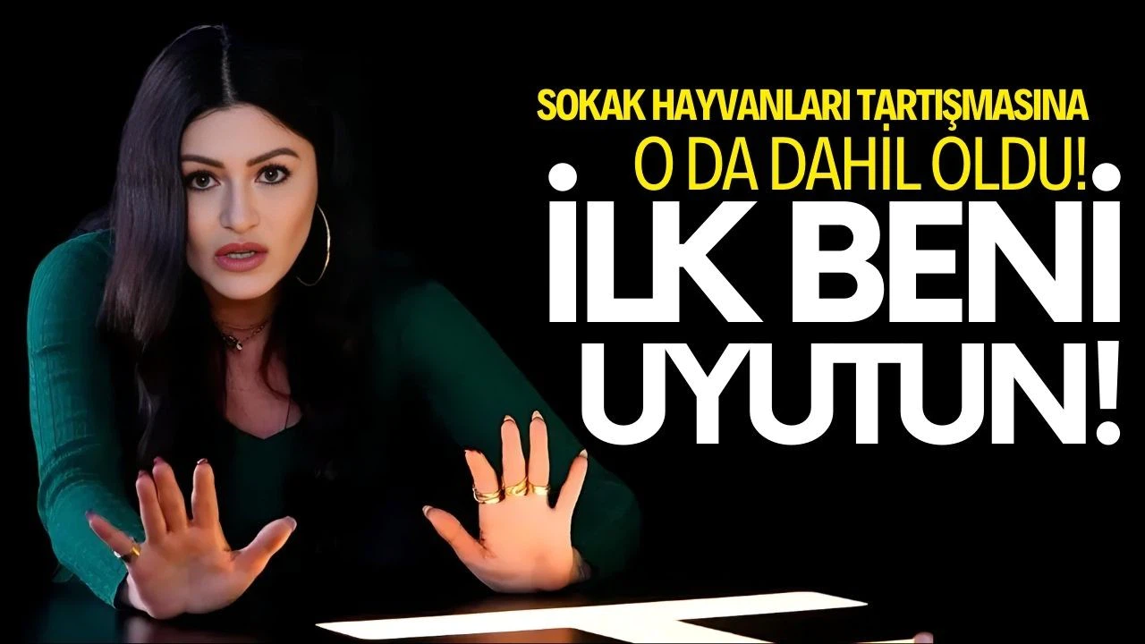 Deniz Çakır'dan sokak hayvanları yorumu: "İlk beni uyutun"