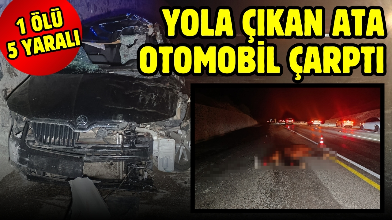Bingöl'de yola çıkan ata otomobil çarptı: 1 ölü, 5 yaralı