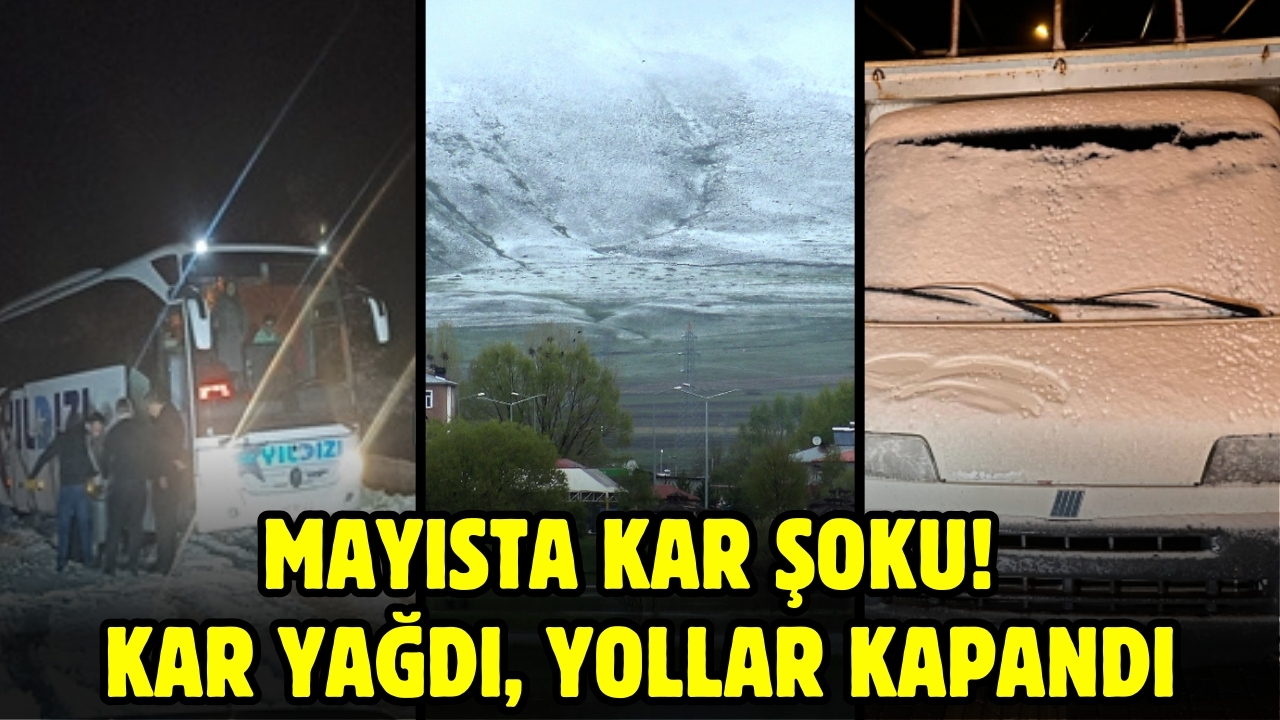 Mayısta kar şoku: 10 ilde kar yağdı